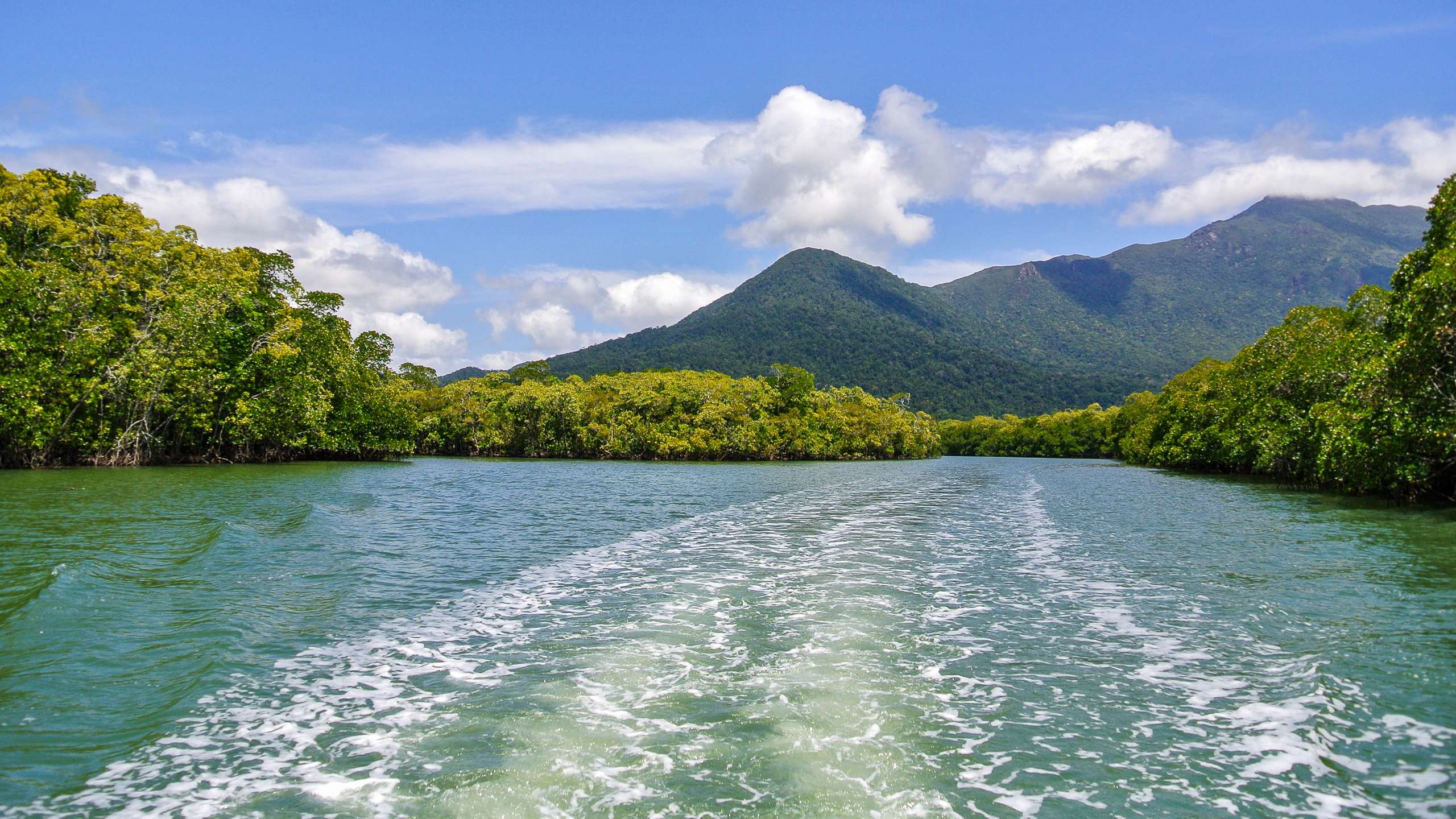 crocodile tour daintree river