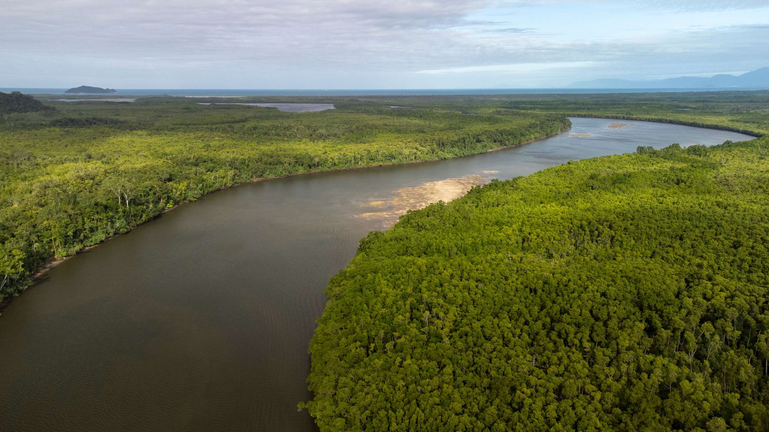 boat tour daintree river