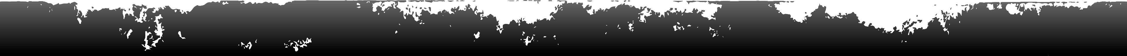 daintree river tours