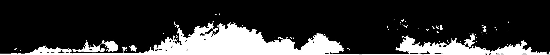 daintree river cruises