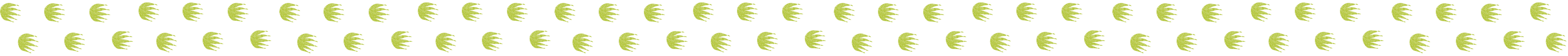 river tours daintree