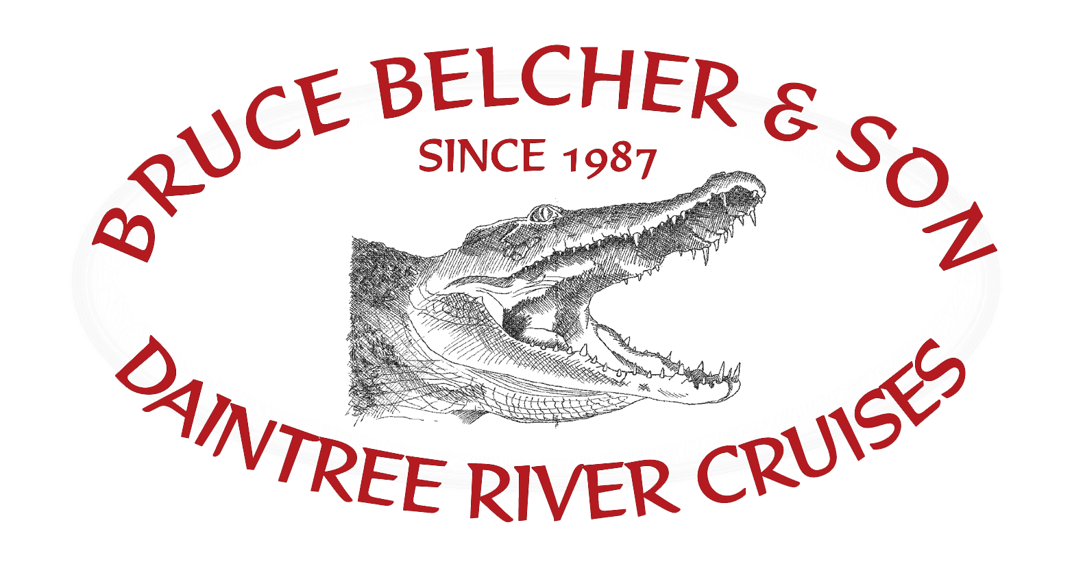 daintree crocodile tours